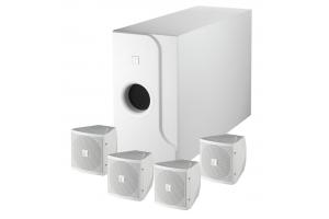 Hệ thống loa vệ tinh:TOA BS-301W