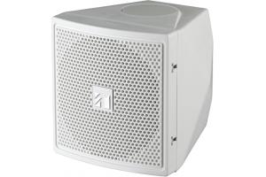 Loa vệ tinh: TOA BS-S20W