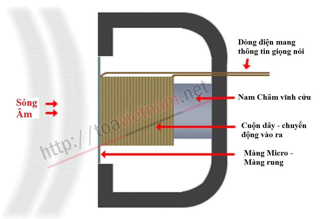 Microphone điện dung và microphone điện động.