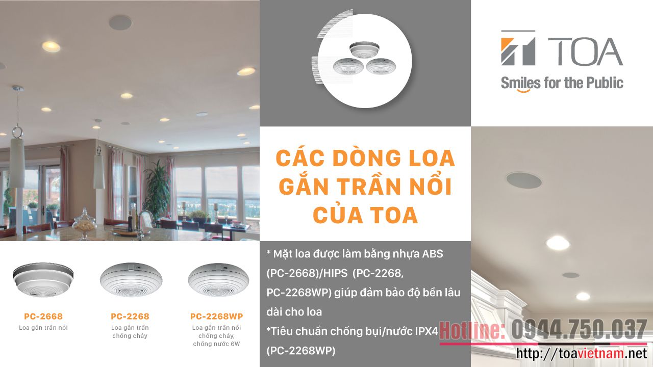 loa-gan-tran-noi.jpg